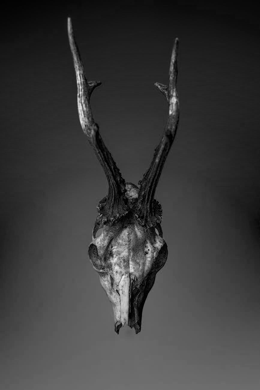 Deception, Heresies, False Teachers and Prophets And Judgement – &nbsp;2024.04.13