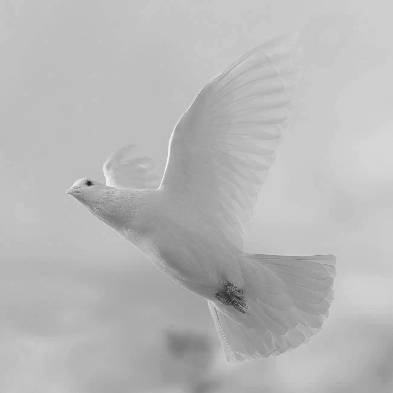 Becoming (4) – 2026.05.28
