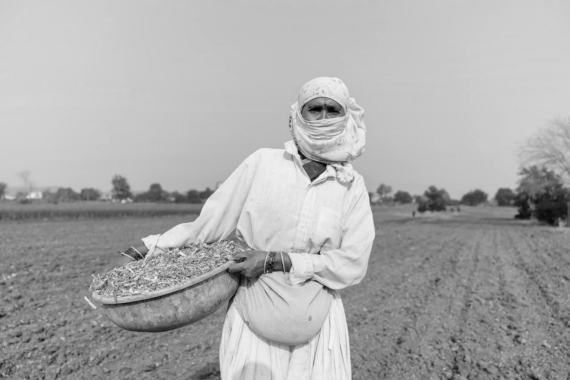 Sowing – 2026.06.02
